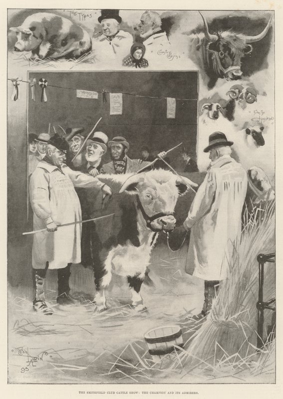 Le Smithfield Club Cattle Show, le champion et ses admirateurs - Cecil Charles Windsor Aldin