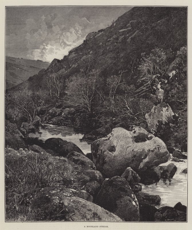 Un ruisseau de lande - Charles Auguste Loye