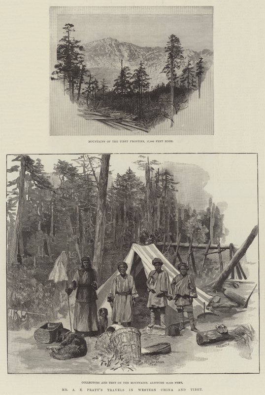 Les voyages de M. A E Pratt en Chine occidentale et au Tibet - Charles Auguste Loye