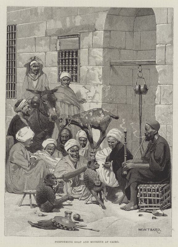 Chèvre et singes performants au Caire - Charles Auguste Loye