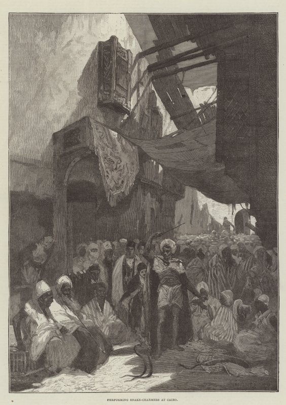 Charmeurs de serpents à l