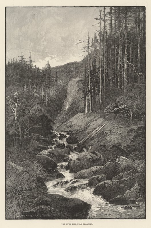 La rivière Torc, près de Killarney - Charles Auguste Loye