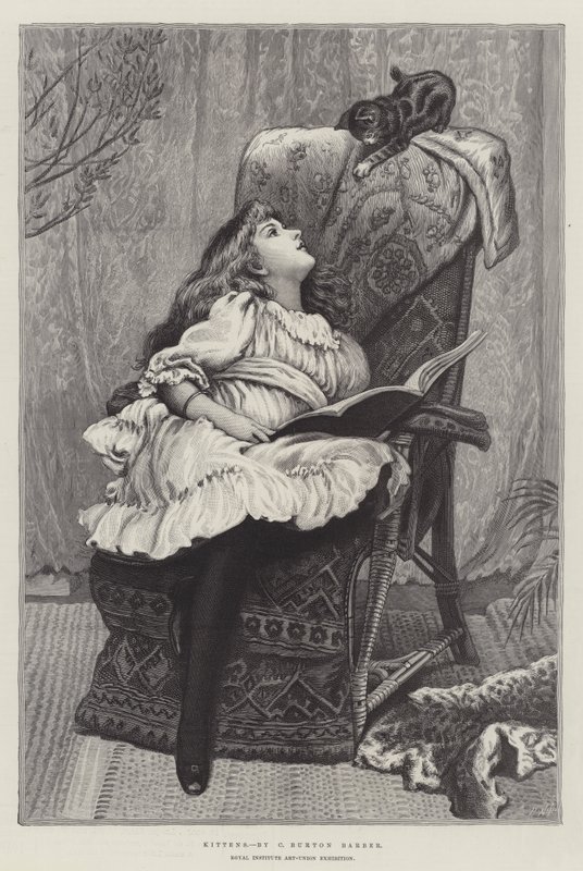 Chatons, Exposition de l