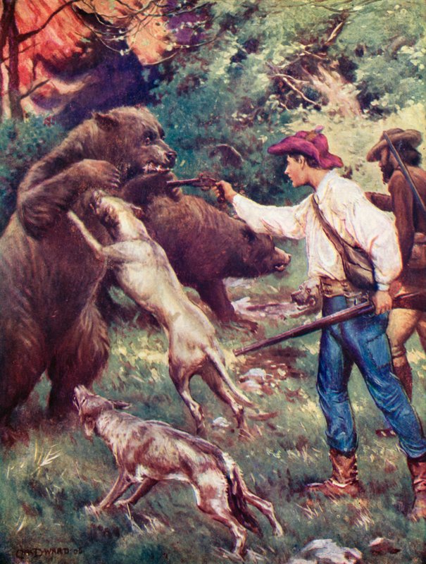 Illustration pour Le Robinson suisse - Charles Daniel Ward