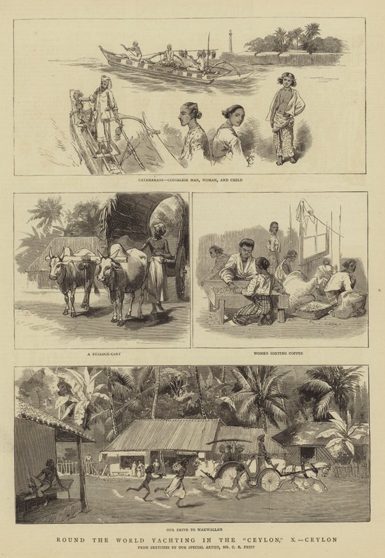 Tour du monde en yacht sur le Ceylan, X, Ceylan - Charles Edwin Fripp