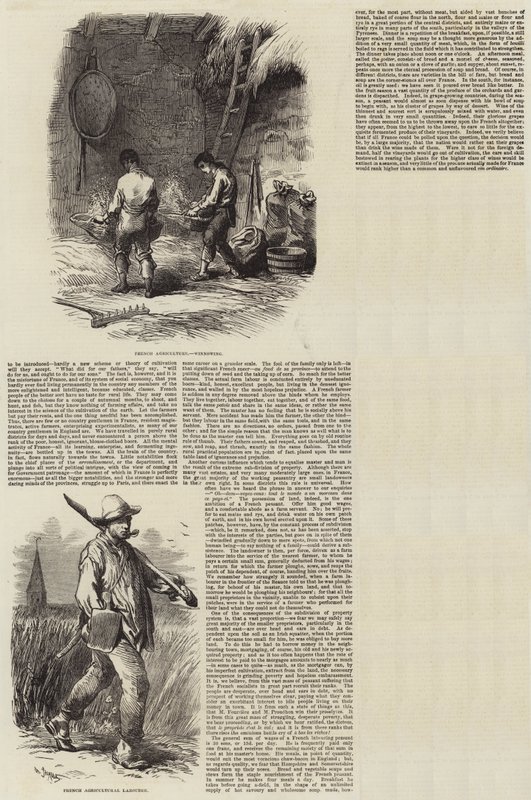 Agriculture en France - Charles Emile Jacque