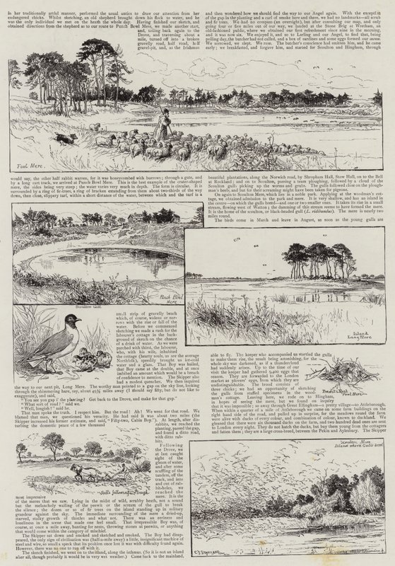 Coins de Norfolk - Charles J. Staniland