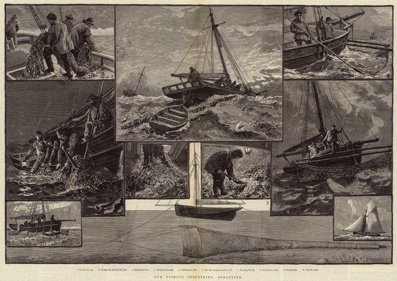 Nos industries de pêche, la pêche au sprat - Charles J. Staniland