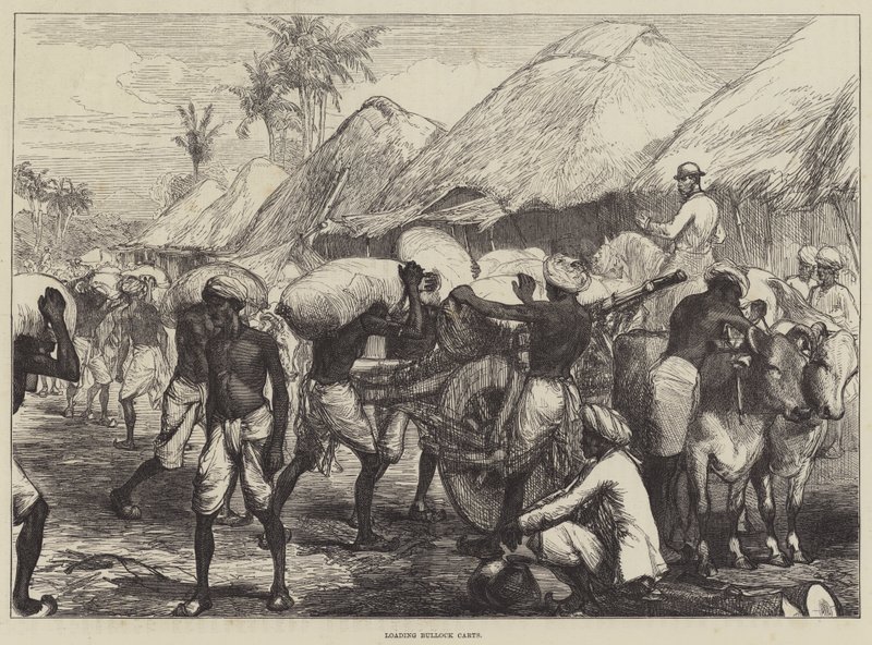Chargement de charrettes à bœufs - Sir John Charles Robinson