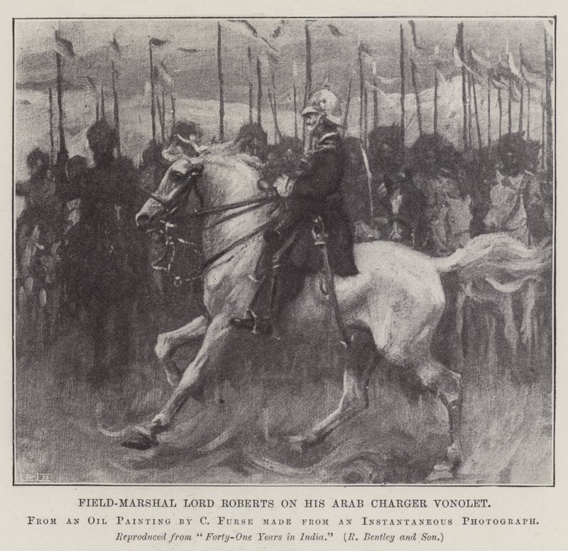 Le maréchal Lord Roberts sur son cheval arabe Vonolet - Charles Wellington Furse