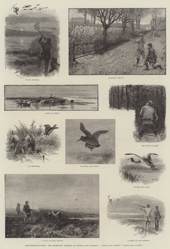 Illustrations de The Badminton Library of Sports and Pastimes, Moor and Marsh, Field and Covert - Charles Whymper