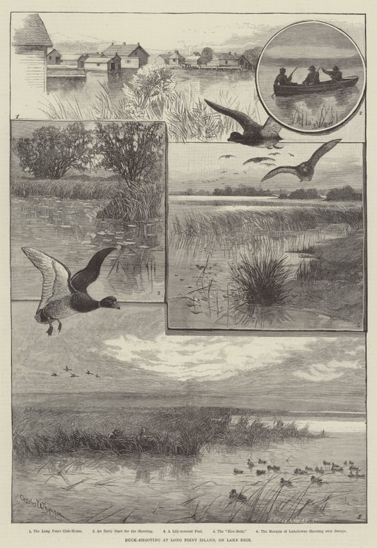 Chasse au canard à Long Point Island, sur le lac Érié - Charles (after) Whymper