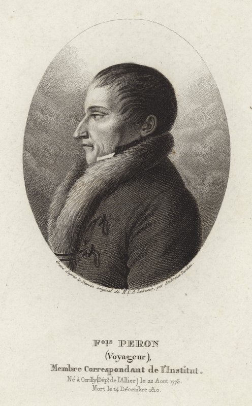 François Péron - Charles Alexandre Lesueur