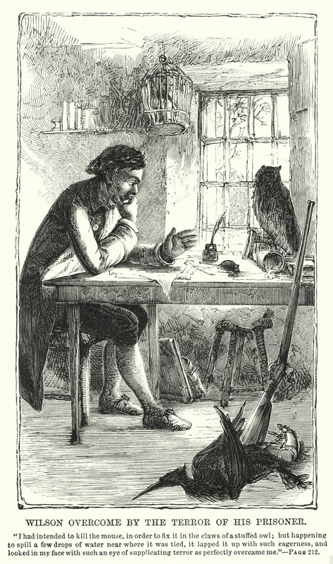 Wilson terrassé par la terreur de son prisonnier - Charles Altamont Doyle