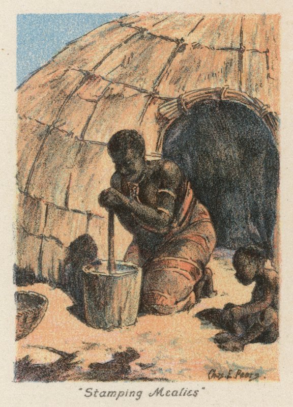 Afrique du Sud: "Stamping Mealies" - Charles Ernest Peers