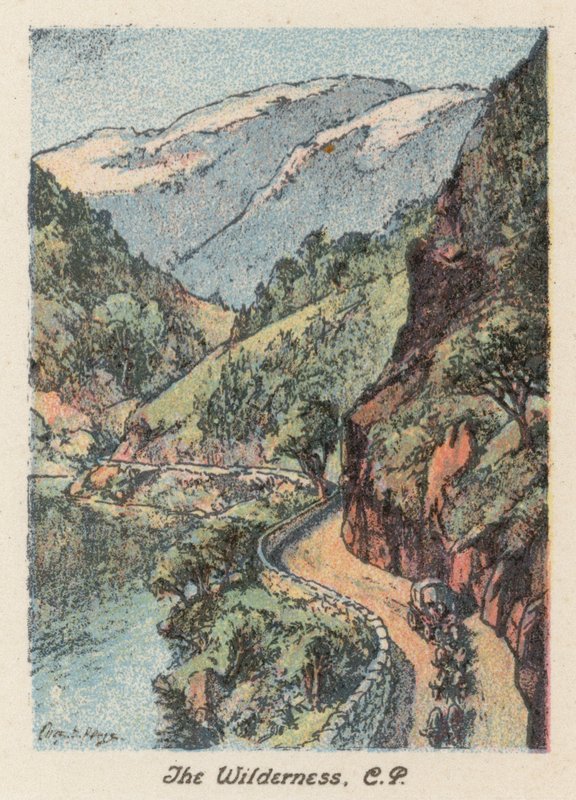 Afrique du Sud : Le Wilderness, CP - Charles Ernest Peers