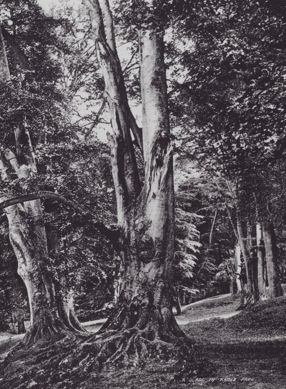 Une clairière dans le parc de Knole - Charles Essenhigh Corke