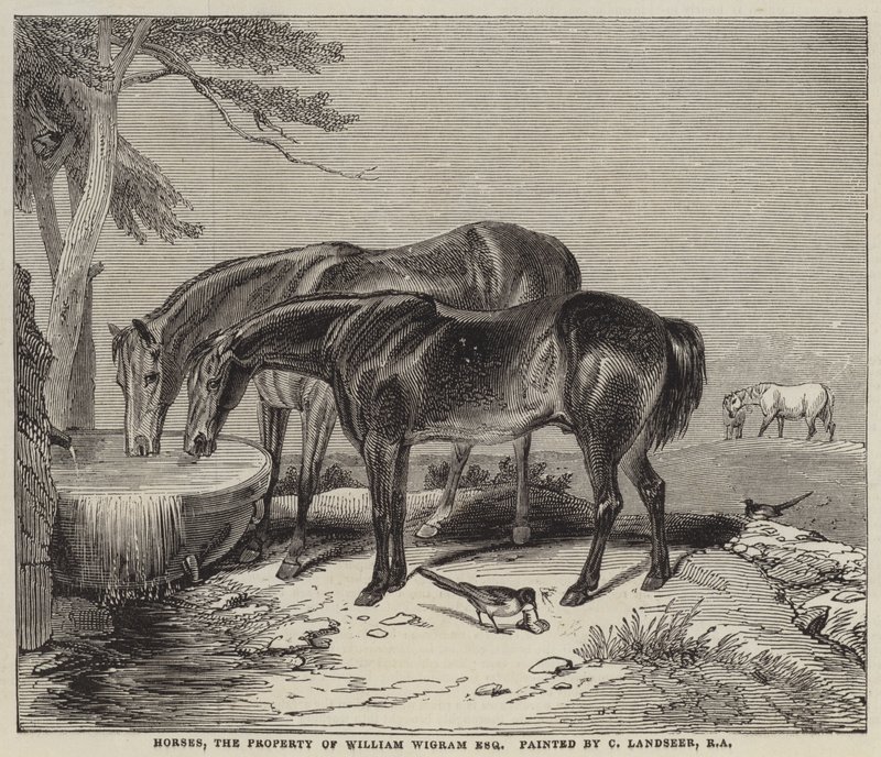 Chevaux, propriété de William Wigram, Esquire - Charles Landseer