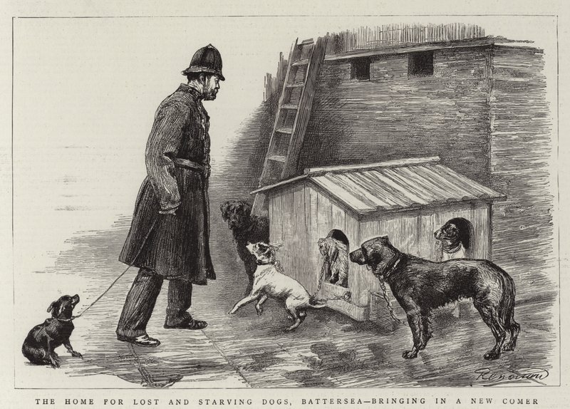 Le foyer pour chiens perdus et affamés, Battersea, amenant un nouveau venu - Charles Paul Renouard