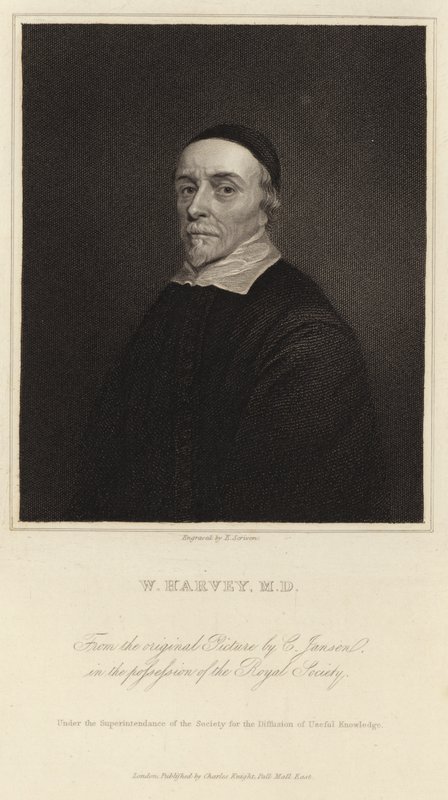 William Harvey - Cornelius Janssen van Ceulen