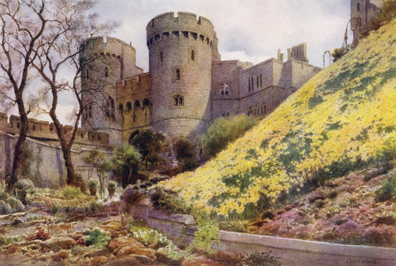 Jonquilles sur la Colline sous la Tour Ronde, Château de Windsor - Cyril Ward