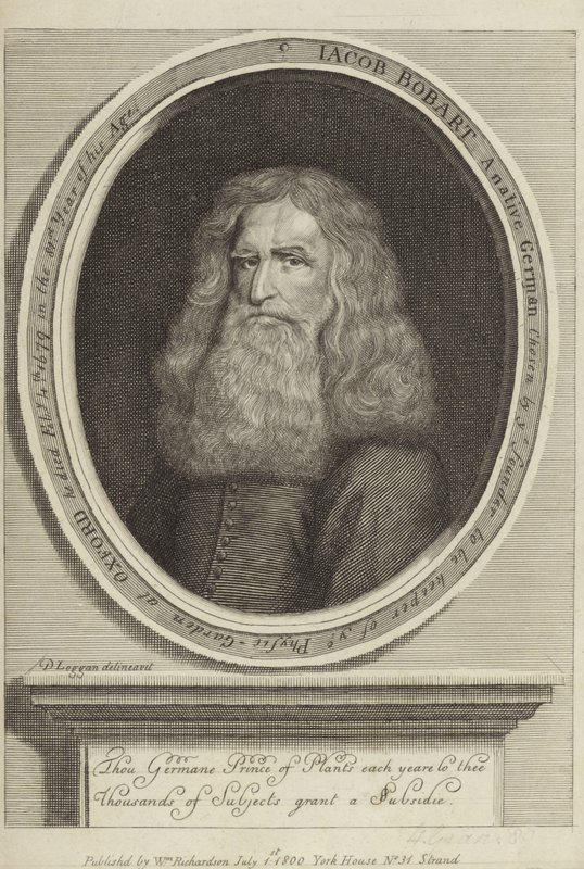 Jacob Bobart - David Loggan