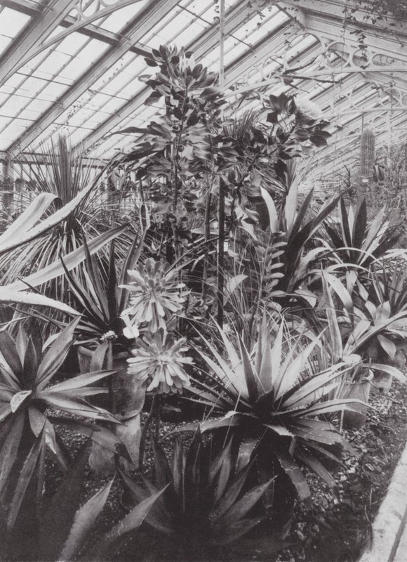 Kew Gardens, vers 1900 - E. J. Wallis
