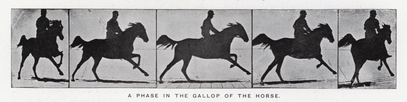 Eadweard Muybridge : Une phase du galop du cheval (photo n/b) - Eadweard Muybridge