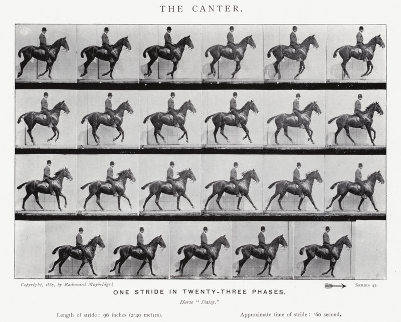 Le Petit Galop - Eadweard Muybridge