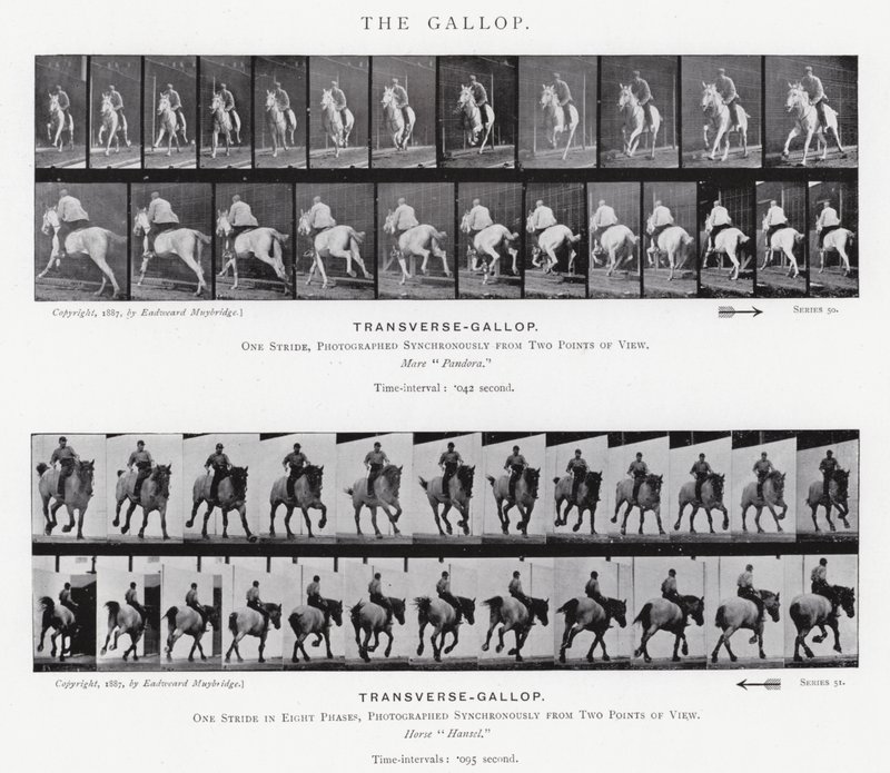 Le Galop - Eadweard Muybridge