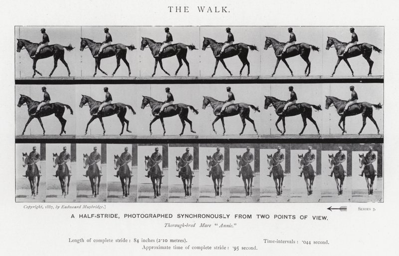 Eadweard Muybridge : La Marche - Eadweard Muybridge