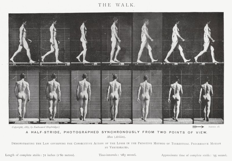 Eadweard Muybridge : La Marche (photo n/b) - Eadweard Muybridge