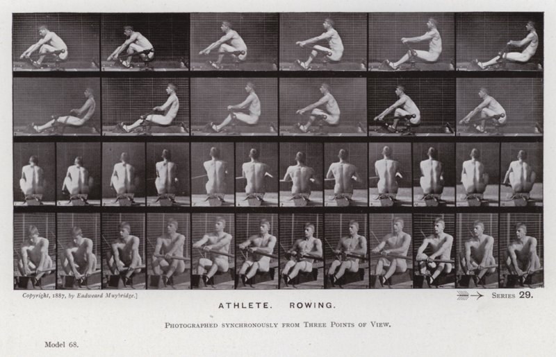 La figure humaine en mouvement : Athlète, ramant - Eadweard Muybridge