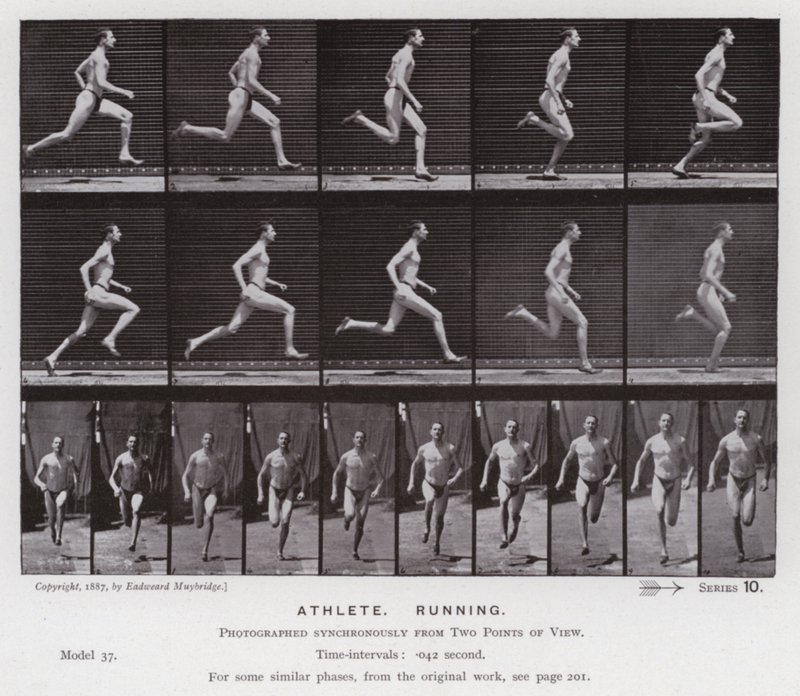 La figure humaine en mouvement : Athlète, courant - Eadweard Muybridge