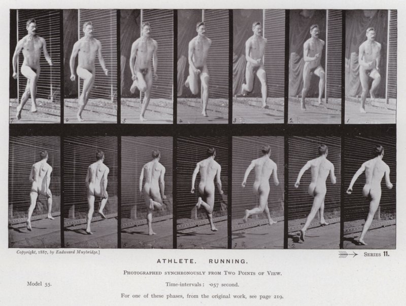 La figure humaine en mouvement : Athlète, courant - Eadweard Muybridge