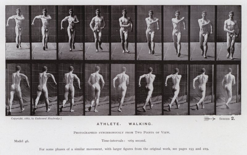La figure humaine en mouvement : Athlète, marchant - Eadweard Muybridge