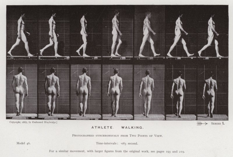 La figure humaine en mouvement : Athlète, marchant - Eadweard Muybridge