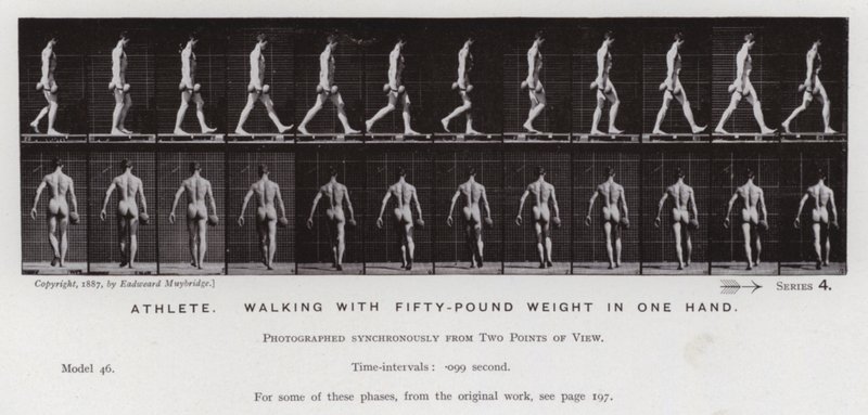 La figure humaine en mouvement : Athlète, marchant avec un poids de cinquante livres dans une main - Eadweard Muybridge