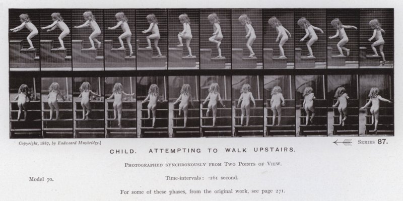 La figure humaine en mouvement : Enfant essayant de monter les escaliers - Eadweard Muybridge