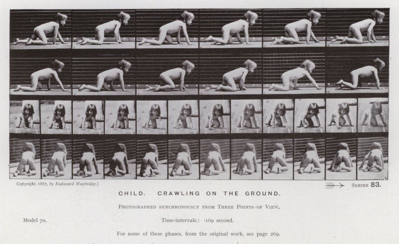 La Figure humaine en mouvement : Enfant, rampant sur le sol - Eadweard Muybridge