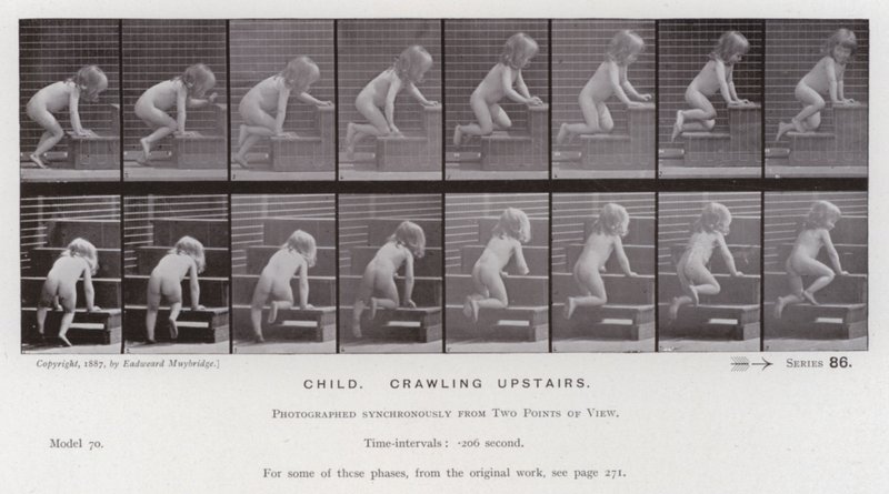 La figure humaine en mouvement : Enfant, rampant dans les escaliers - Eadweard Muybridge