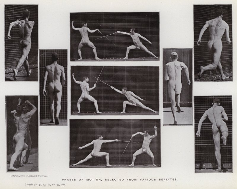 La Figure Humaine en Mouvement : Phases de mouvement, sélectionnées de diverses séries - Eadweard Muybridge