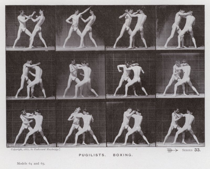 La figure humaine en mouvement : Pugilistes, boxe (photo n/b) - Eadweard Muybridge