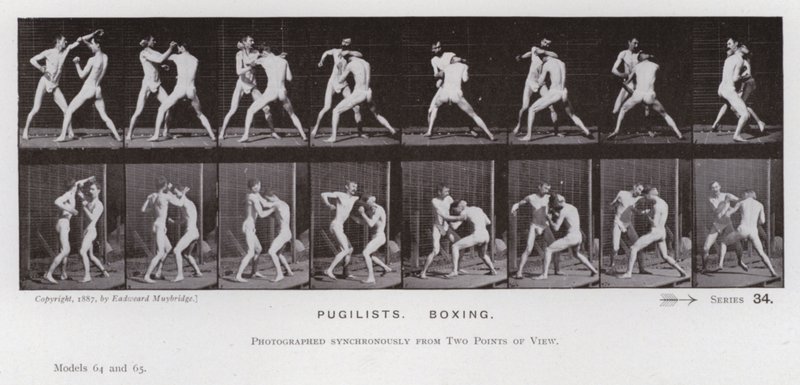 La Figure Humaine en Mouvement : Pugilistes, Boxe - Eadweard Muybridge