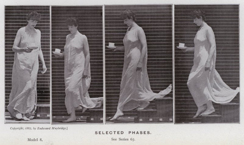 La figure humaine en mouvement : Phases sélectionnées - Eadweard Muybridge
