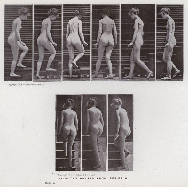 La figure humaine en mouvement : Phases sélectionnées de la série 41 - Eadweard Muybridge