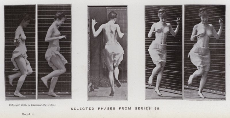 La Figure Humaine en Mouvement : Phases sélectionnées de la série 55 - Eadweard Muybridge