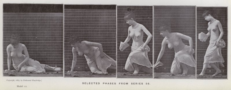 La figure humaine en mouvement : Phases sélectionnées de la série 56 - Eadweard Muybridge