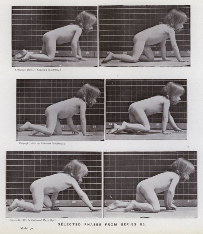 La figure humaine en mouvement : Phases sélectionnées de la série 83 - Eadweard Muybridge
