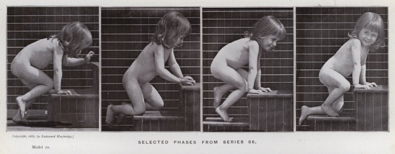 La figure humaine en mouvement : Phases sélectionnées de la série 86 - Eadweard Muybridge